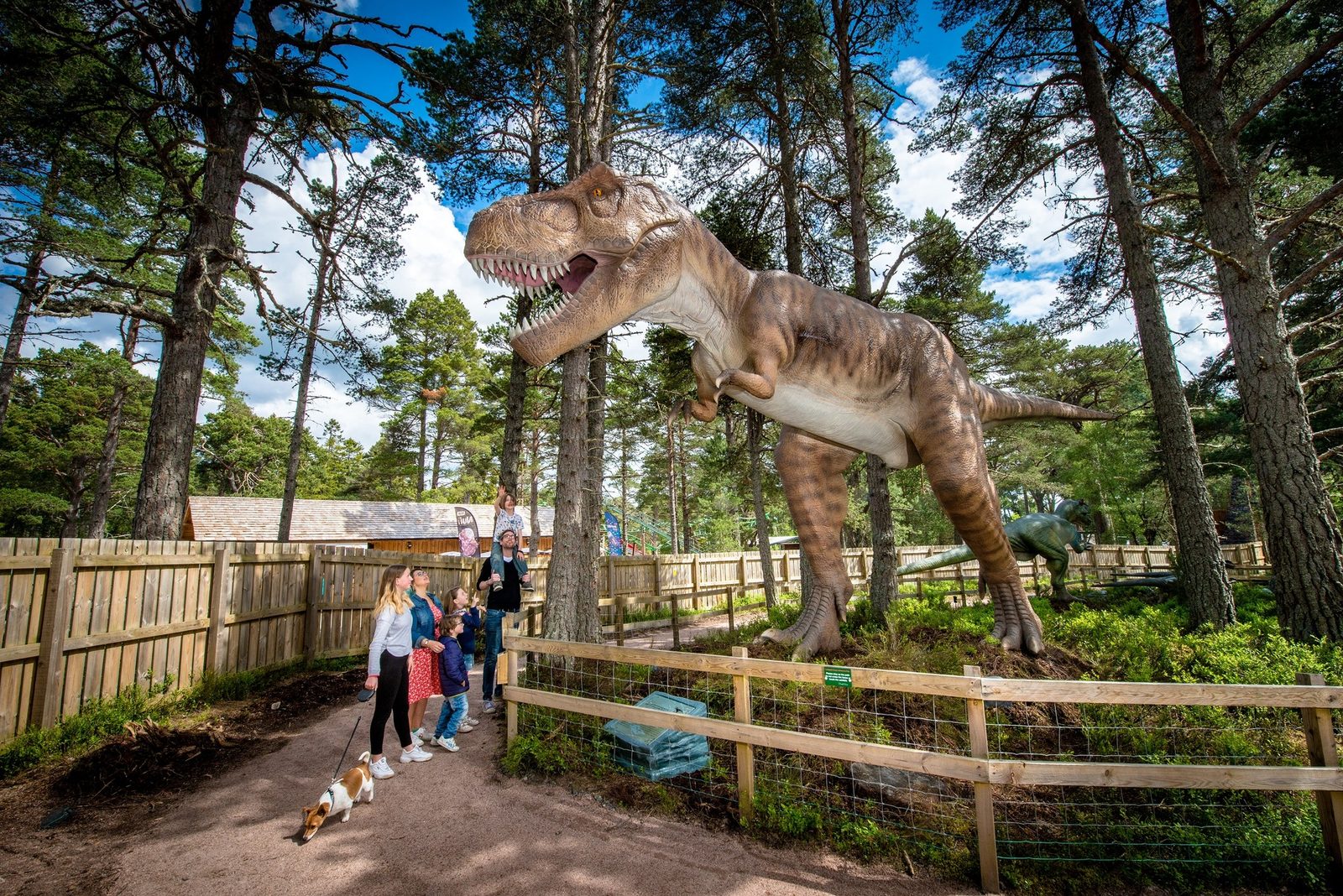 Landmark Forest Adventure Park in Carrbridge