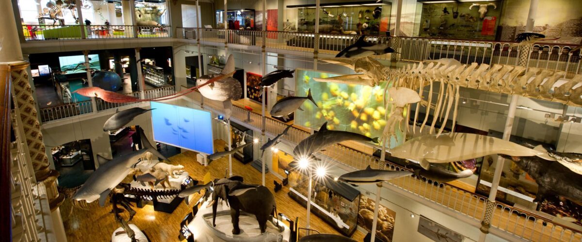 National Museum of Scotland in Edinburgh