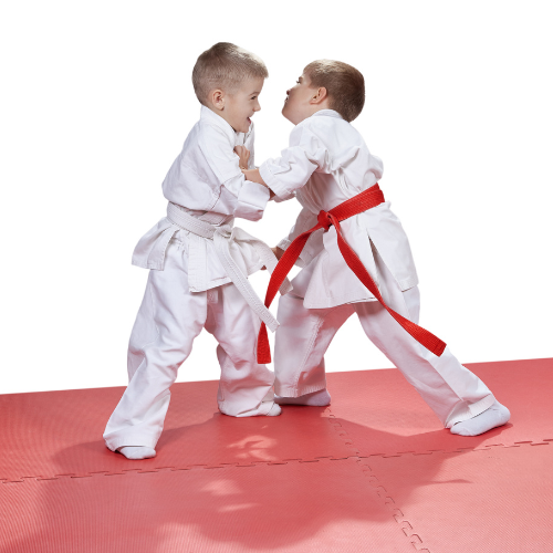 Clyde Judo Club in Paisley