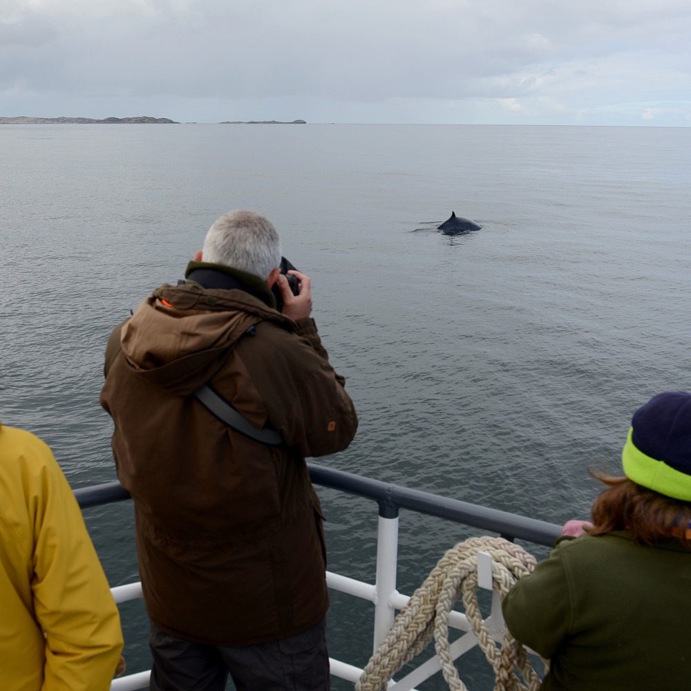 Sea Life Mull in Isle of Mull