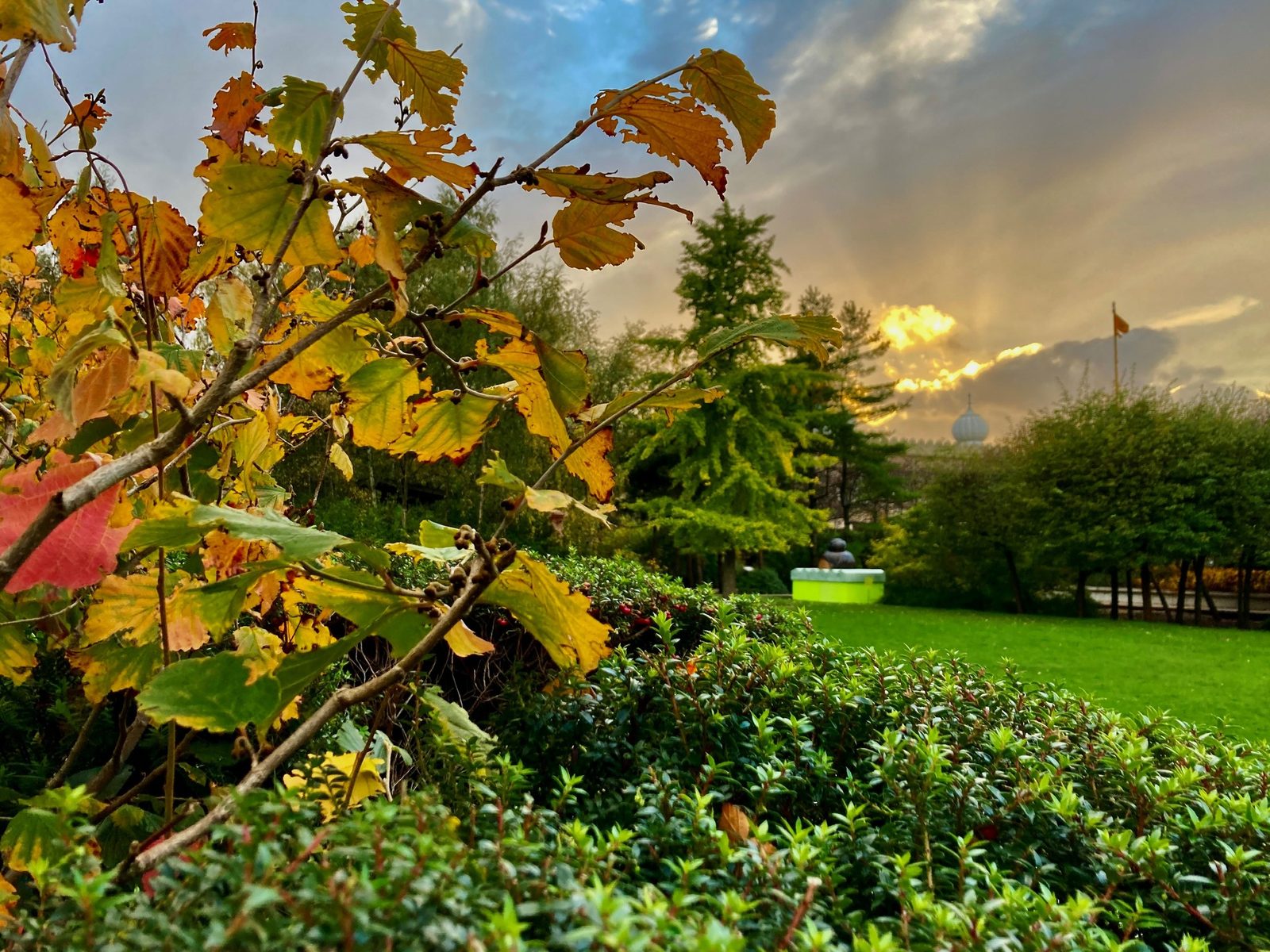 The Hidden Gardens in Glasgow