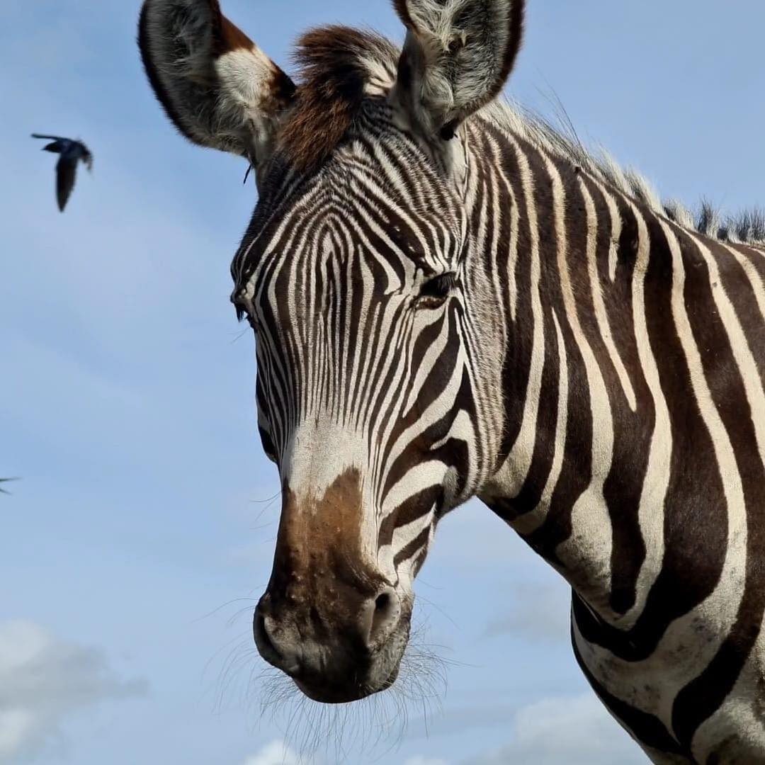 Fife Zoo in Cupar