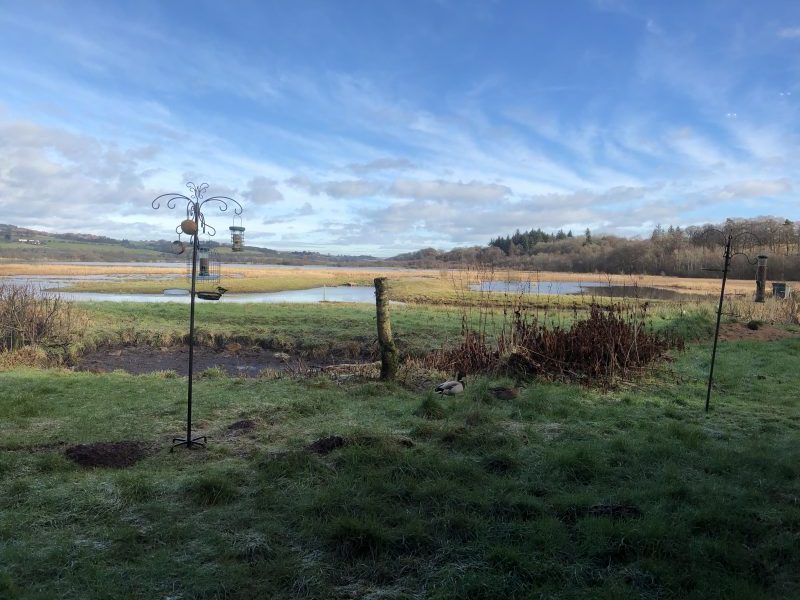 RSPB Nature Reserve Lochwinnoch in Lochwinnoch